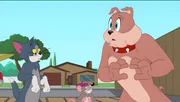 v.li.: Tom, Frankie, Spike