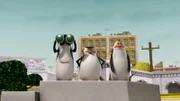 L-R: Kowalski, Skipper, Rico