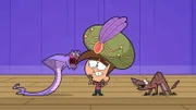 Timmy (m.)