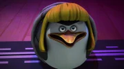 Skipper