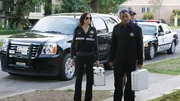 Sara und Dr. Raymond Langston untersuchen die eigenartigen Umstände eines versuchten Selbstmordes.