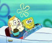 SpongeBob bringt seine Fahrlehrerin zur v^lligen Verzweiflung. 1. Geschichte: SpongeBob gibt nicht auf! Er will unbedingt seinen Führerschein machen. Seine Fahrlehrerin muss sich eines Tricks behelfen, um den Schwamm vom Ruder fernzuhalten. 2. Geschichte: SpongeBob und Patrick wollen an einem Quallen-Wettbewerb teilnehmen. Der Schwamm möchte außerdem in einen der elitärsten Quallen-Clubs eintreten. Doch dummerweise muss er dazu einige superblöde Tests bestehen.