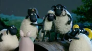 Sicheres Geleit auf Schlafwandlers Wegen; auch dafür sind Freunde da.