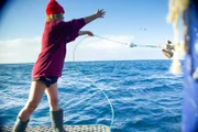 Ein Mitglied der Crew der Rodney Fox Shark Expedition wirft vor der Küste Südaustraliens einen Köder ins Wasser.