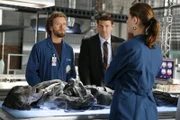 Dr. Brennan (Emily Deschanel, r.) und Dr. Hodgins (TJ Thyne, l.) sprechen mit Agent Booth (David Boreanaz) über die mumifizierte Leiche, die in einer Diskothek gefunden wurde. Es stellt sich schnell heraus, dass es sich bei dem Leichnam um den bekannten DJ Mount handelt. Doch wer hat ihn ermordet?