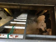Große Eisformationen sind im Hochsommer in der Eismine von Coudersport zu sehen.