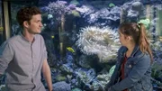 Seeanemonen leben mit Clownfischen in einer sogenannten Symbiose, das bedeutet die beiden brauchen sich gegenseitig. Wie das funktioniert, erklärt Verhaltensforscher Tobias.