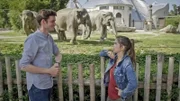 Von Verhaltensforscher Dr. Tobias Zimmermann erfährt Anna, dass es unter Elefanten-Damen Freundschaften gibt. Die Tiere haben davon große Vorteile.