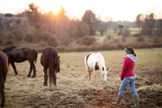 Ashley on the farm with four horses.