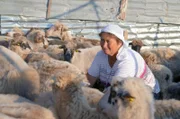 Vjollca Limoj beim Melken der Schafe. Aus der Milch macht sie Käse –– eine Haupteinnahmequelle der Familie.