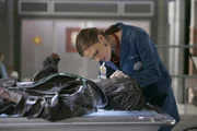 Dr. Brennan (Emily Deschanel)