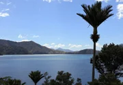 Atemberaubende Landschaft: die Marlborough Sounds an der Nordostspitze von Neuseelands Südinsel