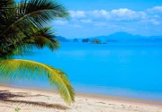 Paradiesische Kulisse: Palmenstrand und strahlend blaues Meer im Süden von Thailand.
