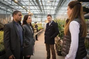 Bei ihren Ermittlungen zum Tod eines Mitglieds aus Holmes Imker Community, treffen Holmes (Jonny Lee Miller, 2.v.r.), Watson (Lucy Liu, 2.v.l.) und Detective Bell (Jon Michael Hill, l.) auf die brillante Insektenforscherin Tara Parker (Sutton Foster, r.) ...