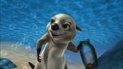 Auch Otter Bobsie lernt, was S.O.S. bedeutet.