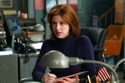 Assistant District Attorney Casey Novak (Diane Neal)