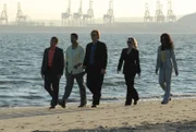 Die Ermittler (v.l.n.r.) Ryan Wolfe (Jonathan Togo), Eric Delko (Adam Rodriguez), Lt. Horatio Caine (David Caruso), Calleigh Duquesne (Emily Procter) und Dr. Alexx Woods (Khandi Alexander) werden mit einem ganz besonderen Fall konfrontiert ?