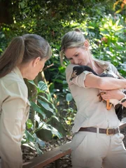 Bindi Irwin cradling Bonnie the orphaned possum.