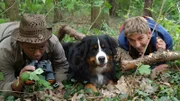 Löwenzahn - Rätselhafte Tiere - Bigfoot in Bärstadt 2