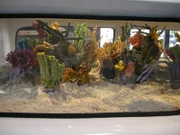 Aquarium