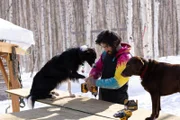 Mario Quezada baut mit Hilfe seiner Hunde einen Schuppen für Schneemobile (National Geographic/Dave Selle).
