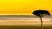 Während der Regenzeit steigt morgens oft Nebel über der Masai Mara auf.
