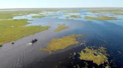 Das Team verlegt seine Suche in die Ibera Wetlands, ein riesiges und abgelegenes Gebiet, in dem es viel weniger zerstörerische menschliche Aktivitäten gibt. Es ist ein sumpfiges Labyrinth aus Bächen und Lagunen, in dem sich wahrhaft riesige Stachelrochen verstecken. (Ungezähmte Produktionen 4 Inc.)