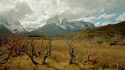 Im Süden Chiles liegt der Nationalpark „Torres del Paine“.