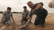 Cyril und das Team machen sich auf den Weg, um einen der letzten verbliebenen Flussriesen Südamerikas zu schützen, den seltenen und gefährlichen Kurzschwanz-Flussstechrochen, der von den Einheimischen wegen seines messerscharfen Charmes gefürchtet wird, der mit einem qualvollen Gift versetzt ist. Als eine der größten Rochenarten der Welt kann der Kurzschwanz-Flussrochen so groß werden wie ein erwachsener Mensch; er hat einen Durchmesser von über einem Meter und wiegt über 400 Pfund. Doch trotz ihrer enormen Größe haben sie mit vielen Herausforderungen zu kämpfen, die durch menschliche Aktivitäten verursacht werden.