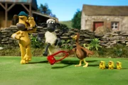 ARD/WDR SHAUN, DAS SCHAF (33), "Verschluckt", am Sonntag um 05:51 Uhr im ERSTEN. Shaun erfährt: Mit der Entenmama ist nicht gut Kirschen essen.