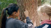 Ha Chau und Matilda hören den Baum ab.