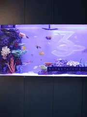 Beauty shot of tank.