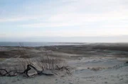 Endlose weiße Sandstrände: An der litauischen Ostseeküste gelang dem Litauer Antanas Sutkus der berühmte Schnappschuss von Jean-Paul Sartre.