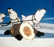 Die Eskimos begleiten die Wikinger zum Eispalast. Als das klaftertief aufreißt, ist es höchste Zeit, Deckung zu suchen.