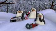 L-R: Skipper, Rico, Private