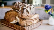 Sauerteig PUR: Lichtkornroggenbrot und Sylter Sauerteigbrot