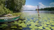 Unterwegs zu den schönsten Berliner Inseln in Dahme, Havel und Spree. Das rbb Fernsehen nimmt die Zuschauerinnen und Zuschauer mit auf eine außergewöhnliche Entdeckungstour mit faszinierenden Luftaufnahmen, vielen Tipps und Begegnungen: von der Schlossinsel Köpenick nach Valentinswerder, von der „Insel der Jugend“ zur Pfaueninsel. - Valentinswerder.
