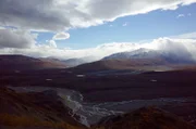 Der Denali-Nationalpark im Zentrum von Alaska ist mit seinen fast 25 000 Quadratkilometern größer als Mecklenburg-Vorpommern.