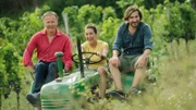 Aldo Sohm, Jana Kreilein, Stefan Wellanschitz.