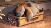 Tinkerbells Freundinnen (v.li.) Silberhauch, Rosetta, Klara und Vidia wissen noch nicht, dass ihre Elfen-Freundin gar nicht in Gefahr ist. Heimlich schleichen sie sich an Lizzys Kater vorbei, um die kleine Elfe zu finden...