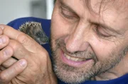 Der Tierarzt Massimo Vacchetta kümmert sich seit Jahren ausschließlich um verletzte Igel.