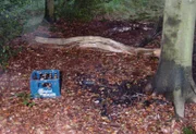 An diesem Lagerfeuer wird die Leiche einer Frau entdeckt. Die Feuerstelle befindet sich mitten im Wald bei Ratingen. Offenbar fand hier eine Feier statt, in deren Verlauf es zu einem brutalen Mord kam.