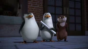 L-R: Skipper, Rico, Marlene
