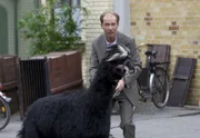 Dr. Fährmann (Michael Lesch) ist entsetzt. Alpaka Harry will flüchten.