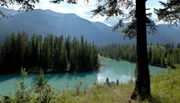 PHOENIX IM ZAUBER DER WILDNIS, TEIL 1, "Geheimnis der Rockies - Der Banff National Park", am Montag (01.09.14) um 20:15 Uhr. Sommerlandschaft im Banff Nationalpark Kanada.