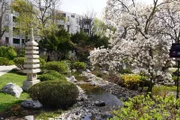 Der 19. Wiener Gemeindebezirk Döbling und der Stadtteil Setagaya in Tokio haben ein Freundschafts- und Kulturabkommen. Daraus entstand die Idee, in Döbling einen Japanischen Garten anzulegen. Geplant hat den Setagayapark der japanischen Gartengestalter Ken Nakajima Anfang der 1990er-Jahre. Ein Teehaus, ein Steinmonument und ein Wasserlauf zieren den Garten ebenso wie die herrliche Kirschblütenpracht.