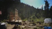 PORT PROTECTION, ALASKA- The town helps build a duck pen.