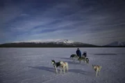 Schlittenhunde im Frühjahrsschnee im Kluane Nationalpark