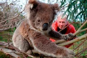 Tierfilmer Thoralf Grospitz und einer seiner Protagonisten bei den Dreharbeiten zur Naturdokumentation „Australien – Im Wald der Koalas“.