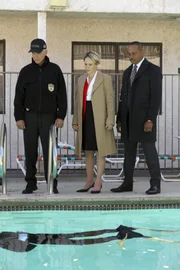 Gibbs (Mark Harmon, l.) und Vance (Rocky Carroll, r.) tun alles, um die Kongressabgeordnete Flemming (Mary Stuart Masterson, M.), die bedroht wird, zu schützen. Doch Vance übersieht ein entscheidendes Detail ...